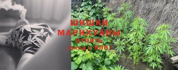 гидропоника Надым