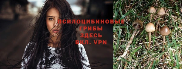 МДПВ Навашино