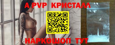 тгк Гай