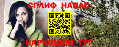 тгк Гай