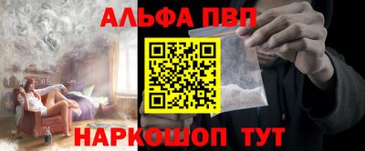 тгк Гай