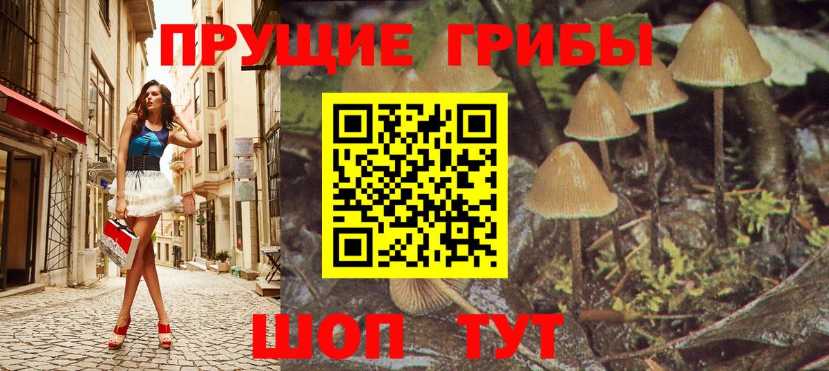 Североморск  Псилоцибиновые грибы Psilocybine cubensis  Вход с VPN 